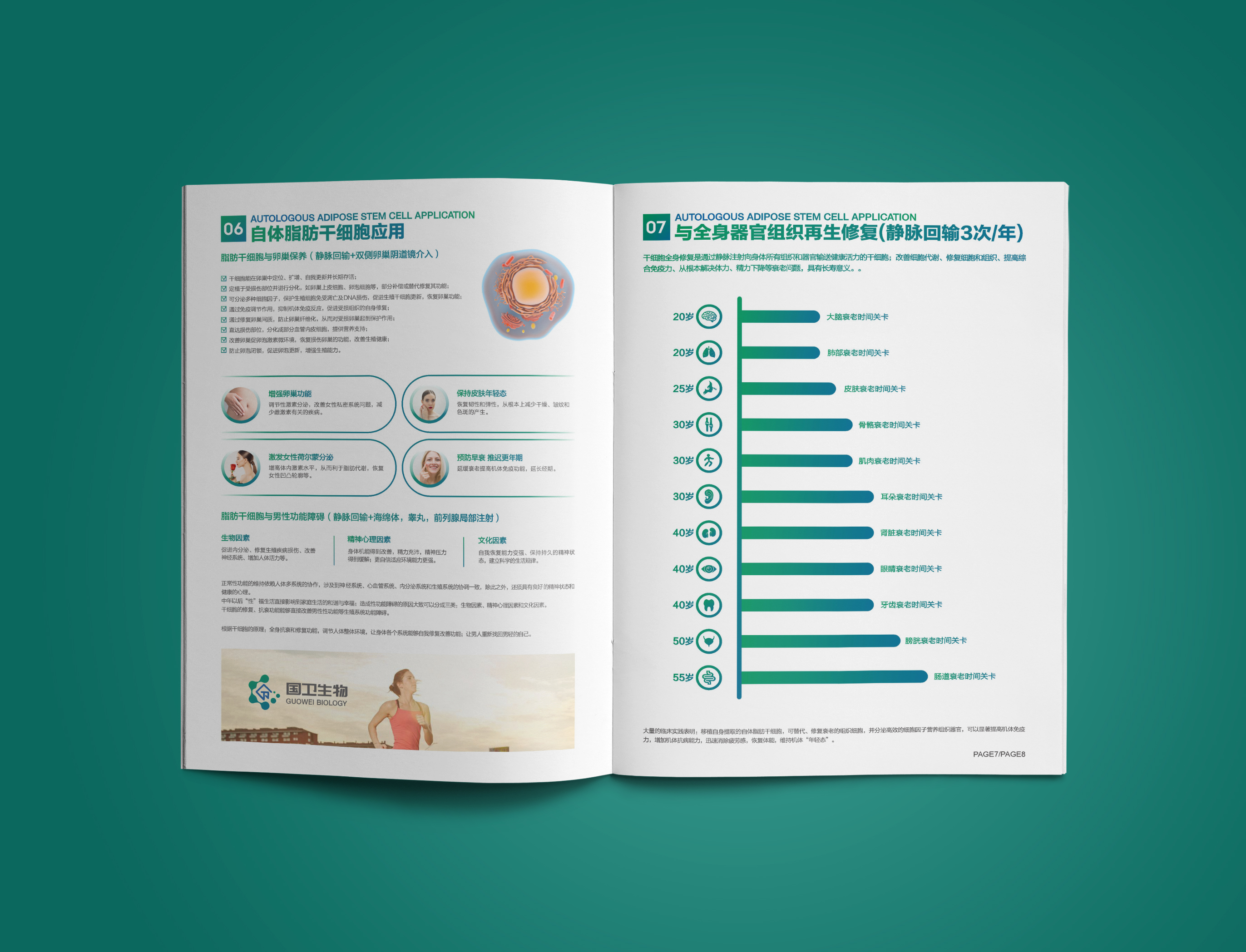 國衛(wèi)細胞基因宣傳冊設計