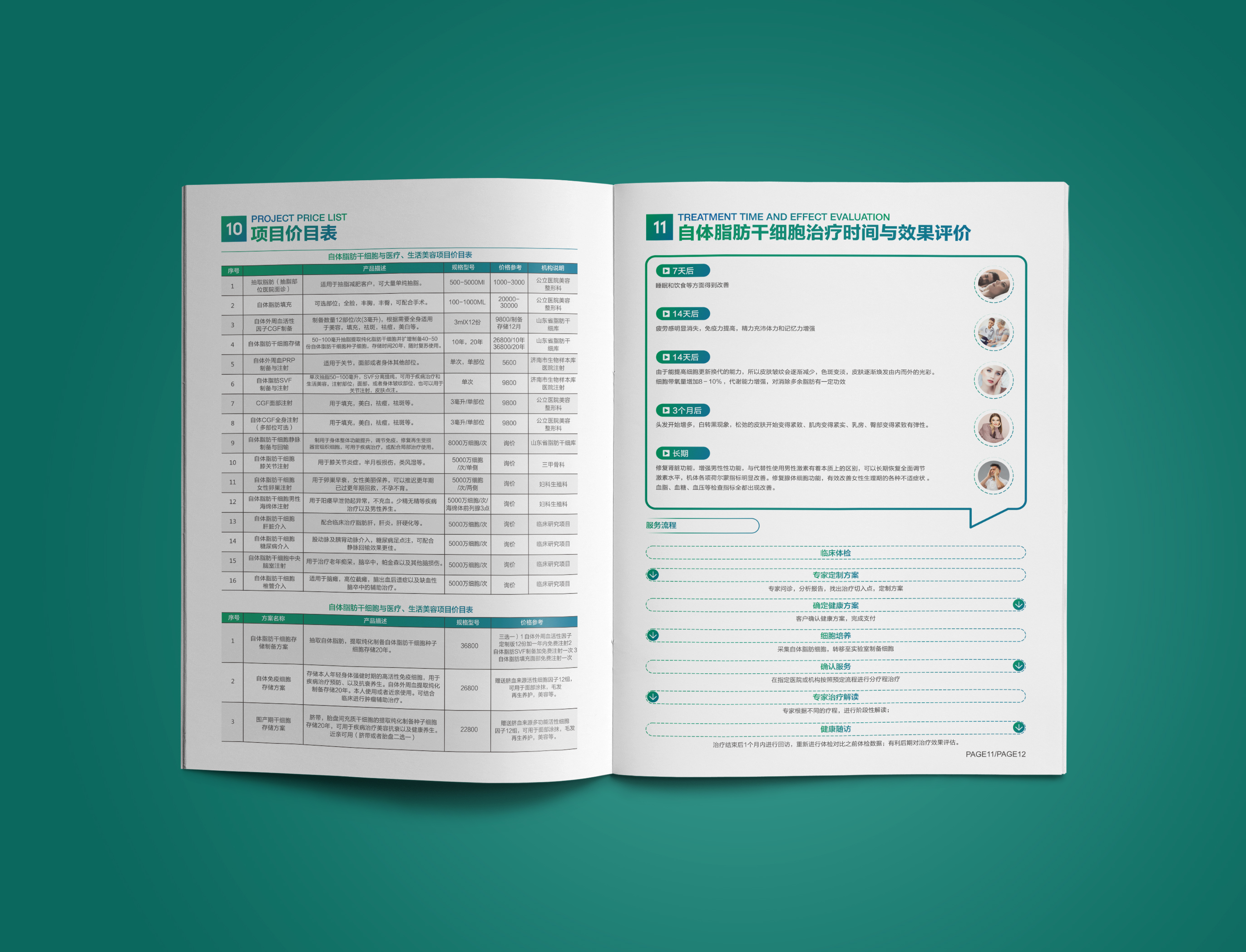 國衛(wèi)細胞基因宣傳冊設計
